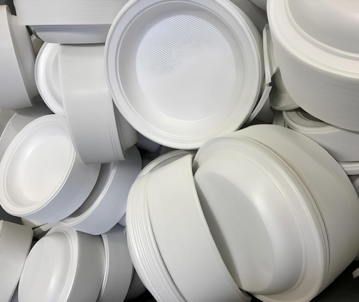 Physical Foaming Disposable Dishes